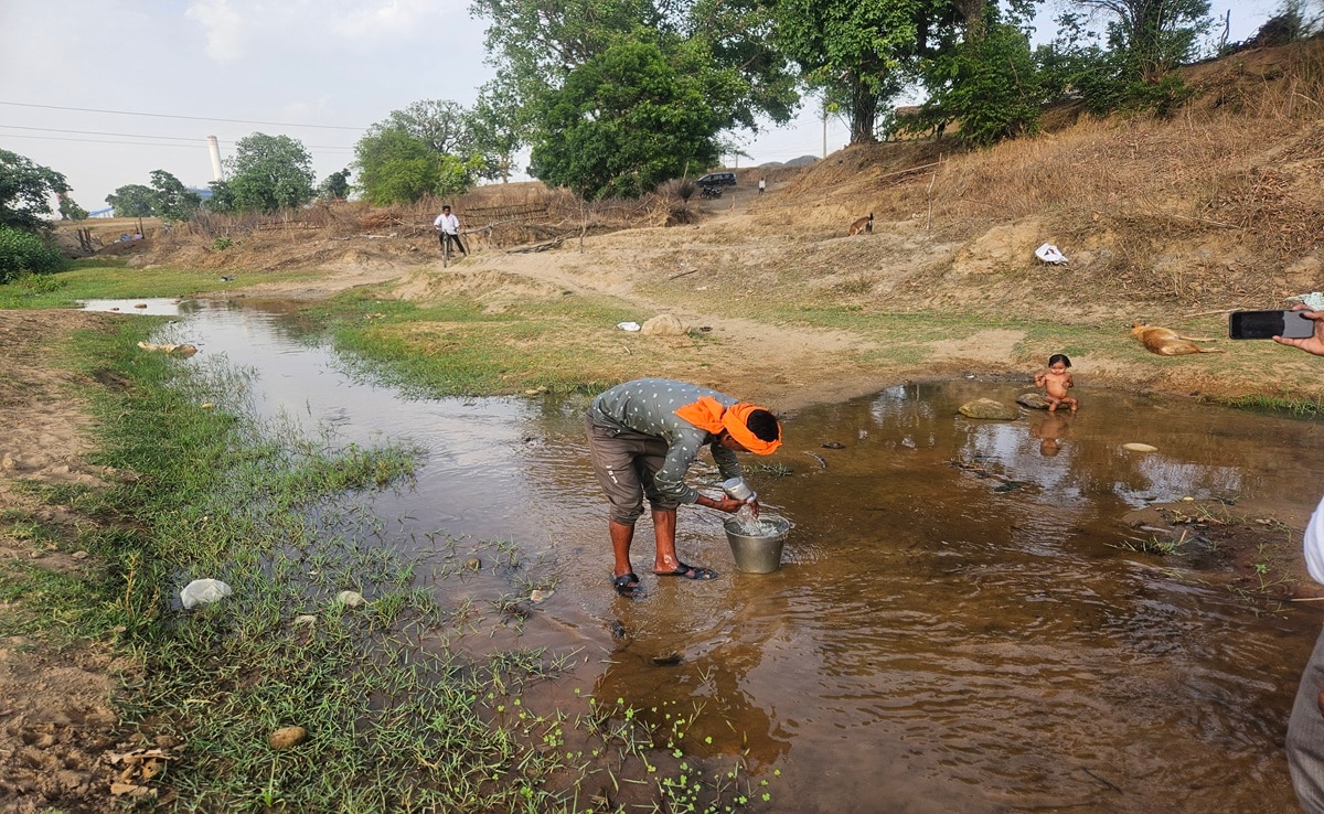Singrauli Water Crisis: सिंगरौली में जल संकट