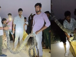 ब&zwj;िहार: कमरे में फन फैलाकर खड़ा था 12 फीट का क&zwj;िंग कोबरा, फुफकार से घर वालों की न&zwj;िकली चीख&nbsp;