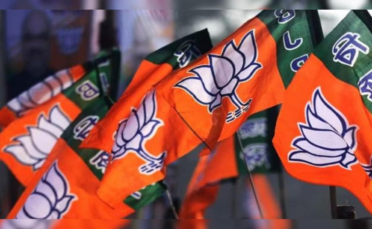BJP Bengal Results:  बंगाल में बीजेपी को किसने जिताया? मतुआ, मुसलमान, भद्रलोक ने किसे वोट किया
