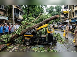 Mumbai News: काळजाचा थरकाप! धावत्या रिक्षावर झाड कोसळले, 14 वर्षीय मुलीचा करुण अंत, दुसरी आयसीयूमध्ये