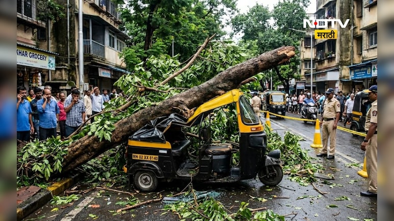 Mumbai News: काळजाचा थरकाप! धावत्या रिक्षावर झाड कोसळले, 14 वर्षीय मुलीचा करुण अंत, दुसरी आयसीयूमध्ये