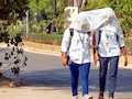 Rajasthan Weather: गर्मी के प्रकोप से पूरा राजस्थान झुलसा, आने वाले दिनों में लू के थपेड़े और सताएंगे