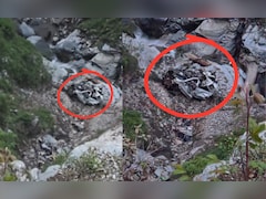 हिमाचल: कार खाई में गिरने से भ‍िलाई के 4 लोगों समेत 8 की मौत, एक्‍सीडेंट का पता GPS से चला