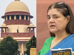 आवारा कुत्तों को अमीर से गरीब कॉलोनी में फेंक दिया जाता है... सुप्रीम कोर्ट के आदेश पर बोलीं मेनका गांधी