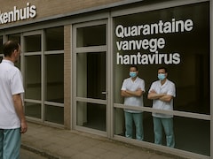 Hantavirus Exposure: Dutch Hospital Quarantines 12 Healthcare Workers As Precaution
