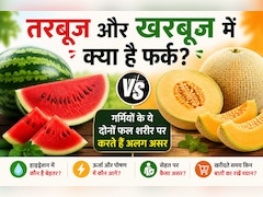 तरबूज और खरबूज में क्या है फर्क? गर्मियों के ये दोनों फल शरीर पर करते हैं अलग-अलग असर