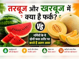 तरबूज और खरबूज में क्या है फर्क? गर्मियों के ये दोनों फल शरीर पर करते हैं अलग-अलग असर
