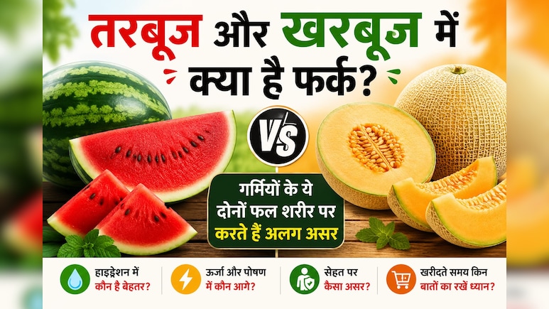तरबूज और खरबूज में क्या है फर्क? गर्मियों के ये दोनों फल शरीर पर करते हैं अलग-अलग असर