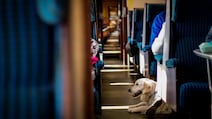 Travelling With Pets On Vande Bharat? Follow This Booking Process