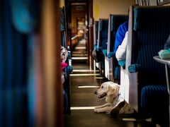 Travelling With Pets On Vande Bharat? Follow This Booking Process