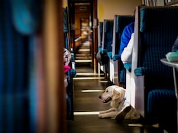 Travelling With Pets On Vande Bharat? Follow This Booking Process