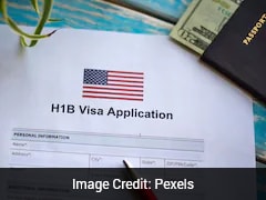 Indian Man In US Misses Mother's Final Moments Due To Visa Delays, Calls It His 