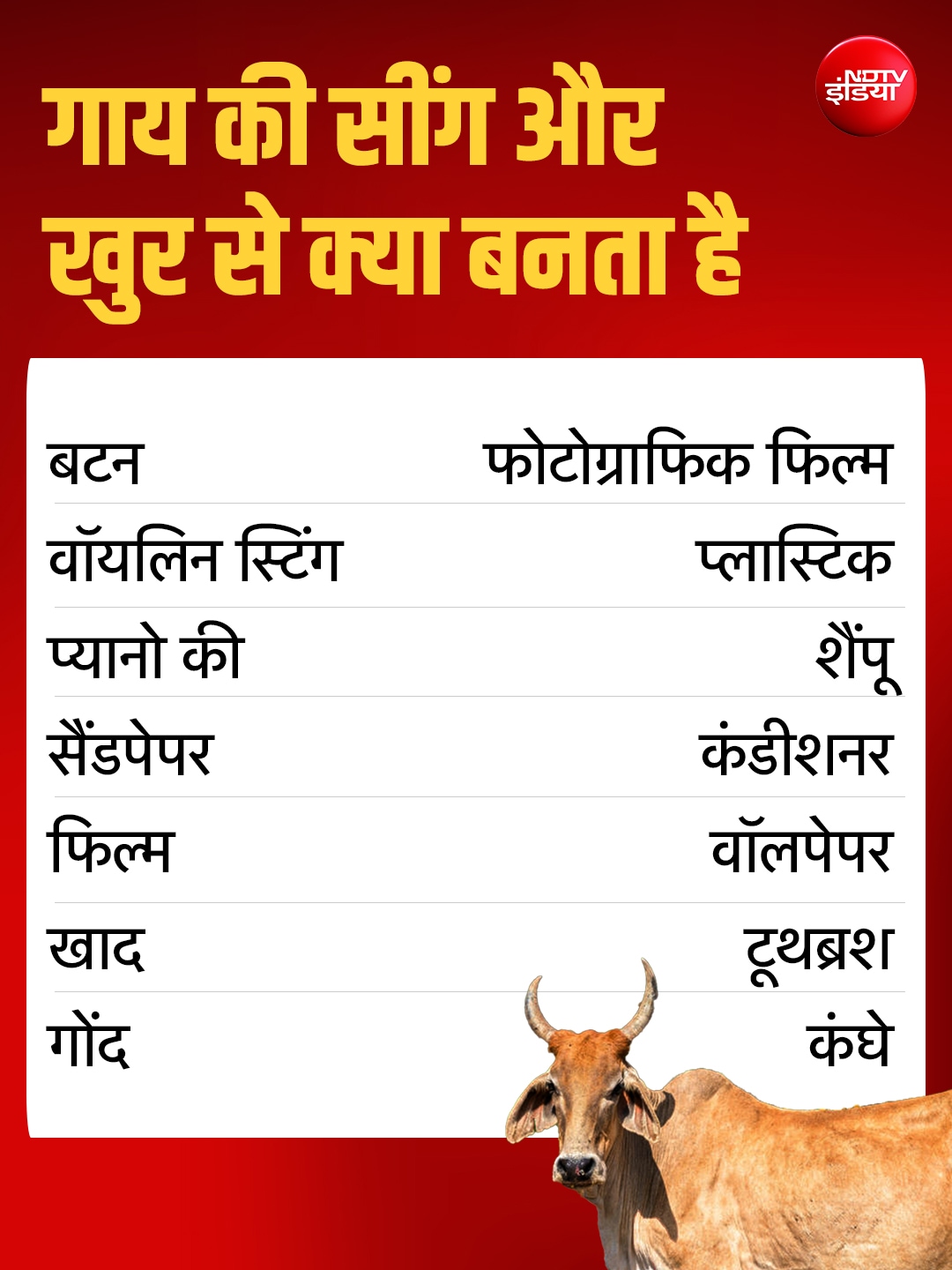 Latest and Breaking News on NDTV