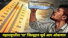 Heat Alert  : महाराष्ट्राच्या 'या' जिल्ह्यात पुढील 4 दिवस उष्णतेचा कहर,  2 दिवसांपूर्वीच 45 चा पारा ओलांडला