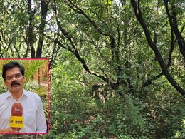 Ratnagiri Bird Sanctuary: कोकणातील निसर्ग वाचवण्यासाठी मोठं पाऊल! रत्नागिरीत 'पक्षी अभयारण्य' उभारण्याची मागणी