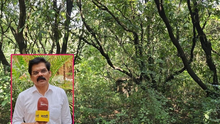 Ratnagiri Bird Sanctuary: कोकणातील निसर्ग वाचवण्यासाठी मोठं पाऊल! रत्नागिरीत 'पक्षी अभयारण्य' उभारण्याची मागणी