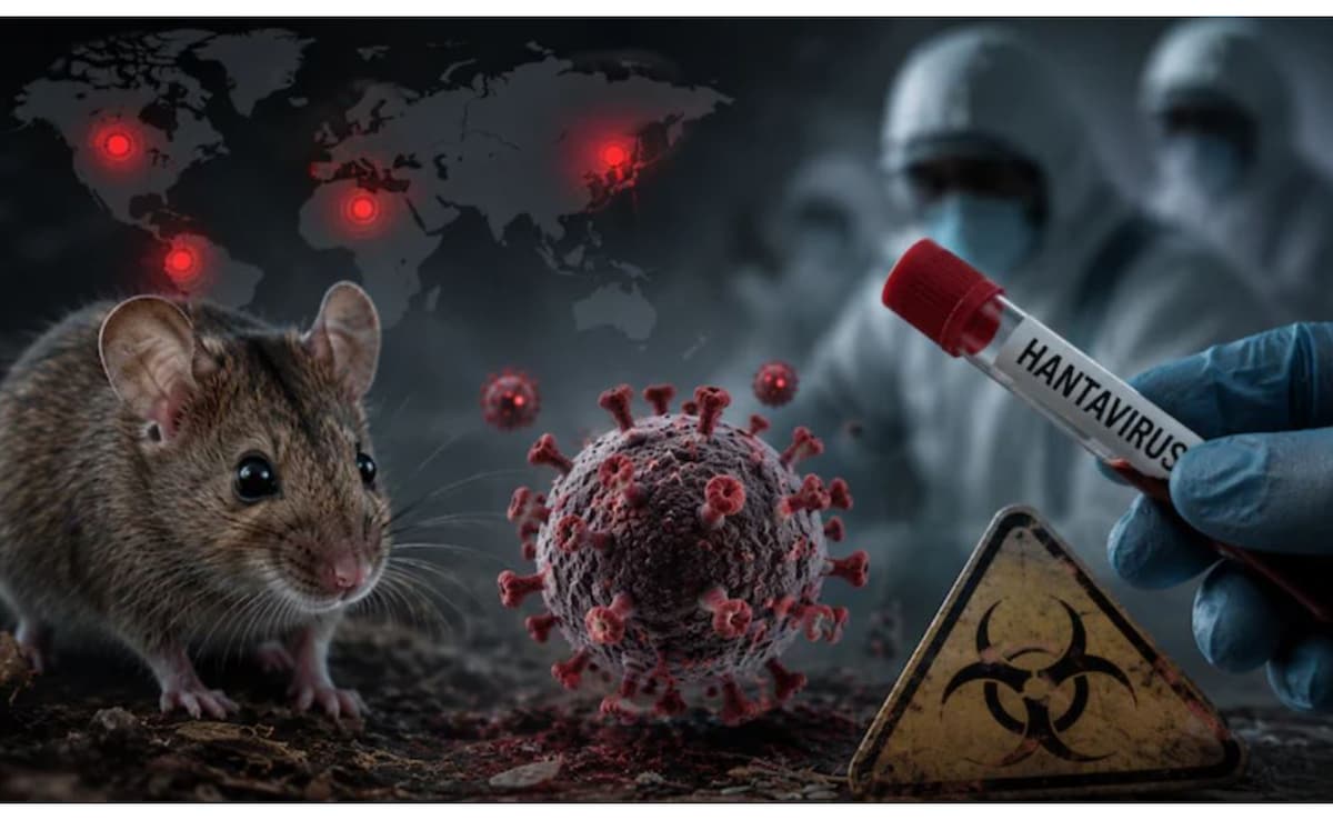 Hantavirus, Ebola Show Risk Preparedness Lagging Despite Improved Crisis Response: Pandemic Expert