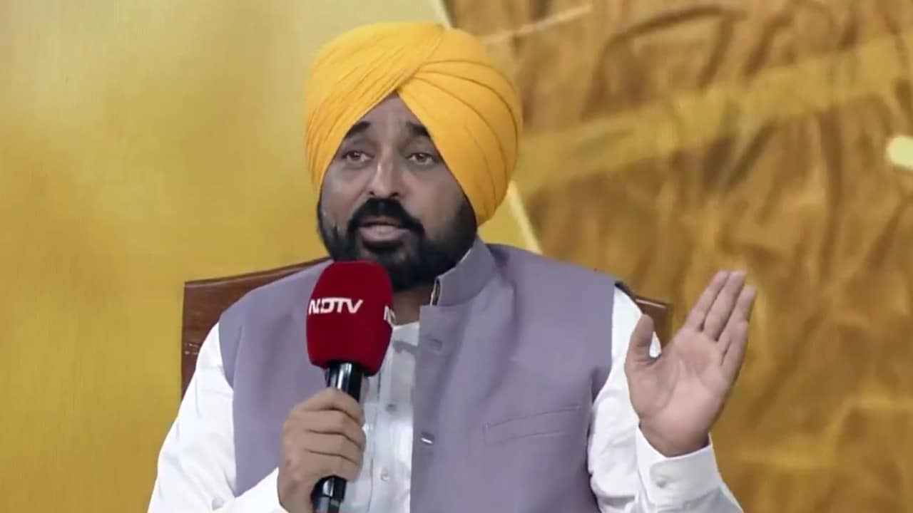 वीडियो में मैं नहीं, बदनाम किया जा रहा- पंजाब सीएम भगवंत मान