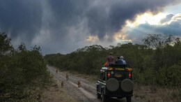 5 Best Monsoon Wildlife Safaris In India For An Unforgettable Adventure