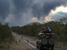 5 Best Monsoon Wildlife Safaris In India For An Unforgettable Adventure