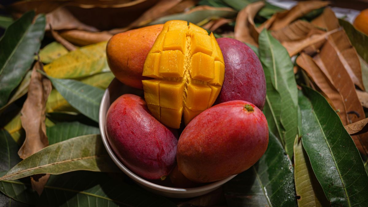 This Is The Most Expensive Mango In The World, Worth Rs 3 Lakh A Pair