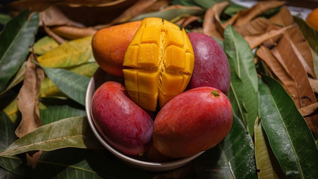 This Is The Most Expensive Mango In The World, Worth Rs 3 Lakh A Pair