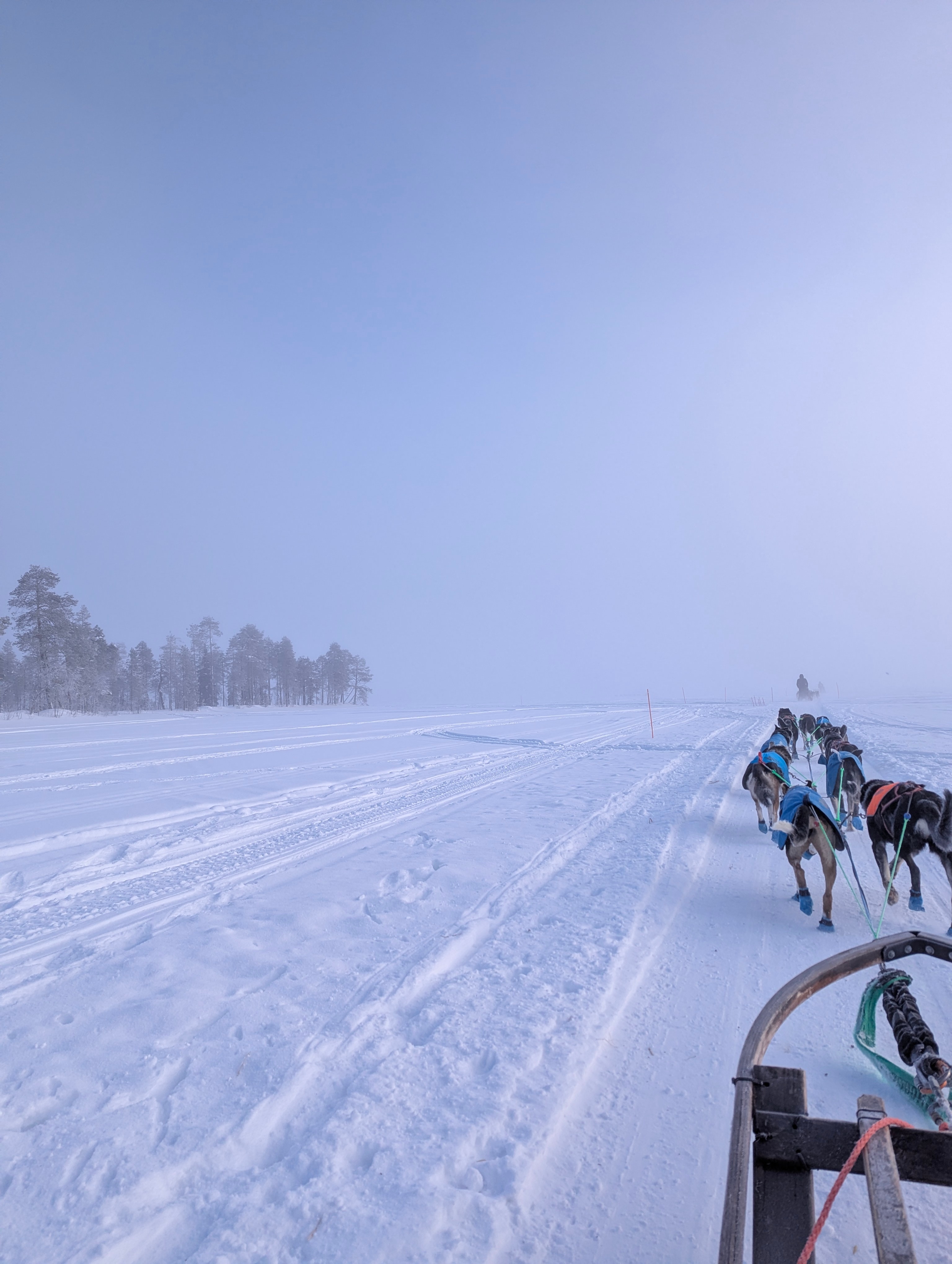 On a husky sledge. Photo: Author