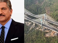 Anand Mahindra Celebrates Inauguration Of The 'Missing Link' On His Birthday