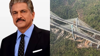 Anand Mahindra Celebrates Inauguration Of 'Missing Link' On His Birthday