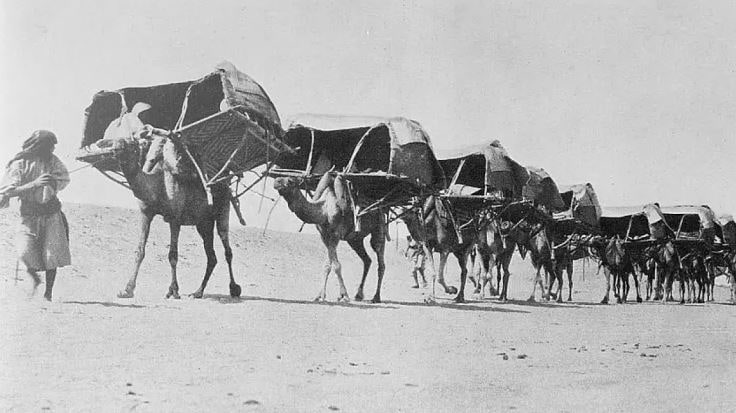 1910 में ऐसे ऊंटों पर बैठकर लोग काबा पहुंचते थे. 1910 में ऐसे ऊंटों पर बैठकर लोग काबा पहुंचते थे.