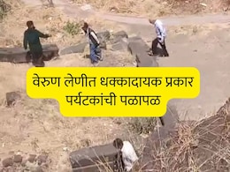 honeybee Attack: आरडा ओरडा, पळापळ...वेरुळ लेणीत धक्कादायक प्रकार; 100 पर्यटक जखमी