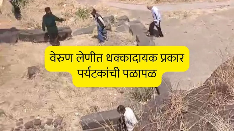 honeybee Attack: आरडा ओरडा, पळापळ...वेरुळ लेणीत धक्कादायक प्रकार; 100 पर्यटक जखमी