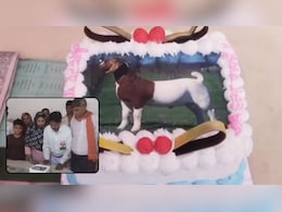 बकरीद पर मुस्लिम परिवार ने काटा बकरे की तस्वीर वाला केक, सोशल मीडिया पर हुआ वायरल
