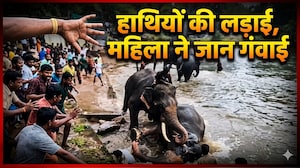 2 हाथियों में नहाने के दौरान भीषण लड़ाई, पास खड़ी महिला की दबकर मौत