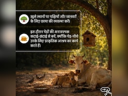हीटवेव में अपने साथ करें बेजुबान पशुओं का भी बचाव, CSIR ने बताए उन्हें गर्मी से बचाने के 5 आसान तरीके