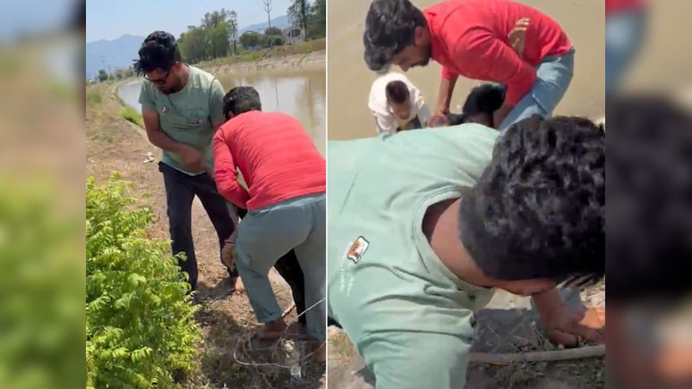 उफनती नहर में महिला ने लगाई छलांग, दो जांबाज युवकों ने जान पर खेलकर बचाई जिंदगी