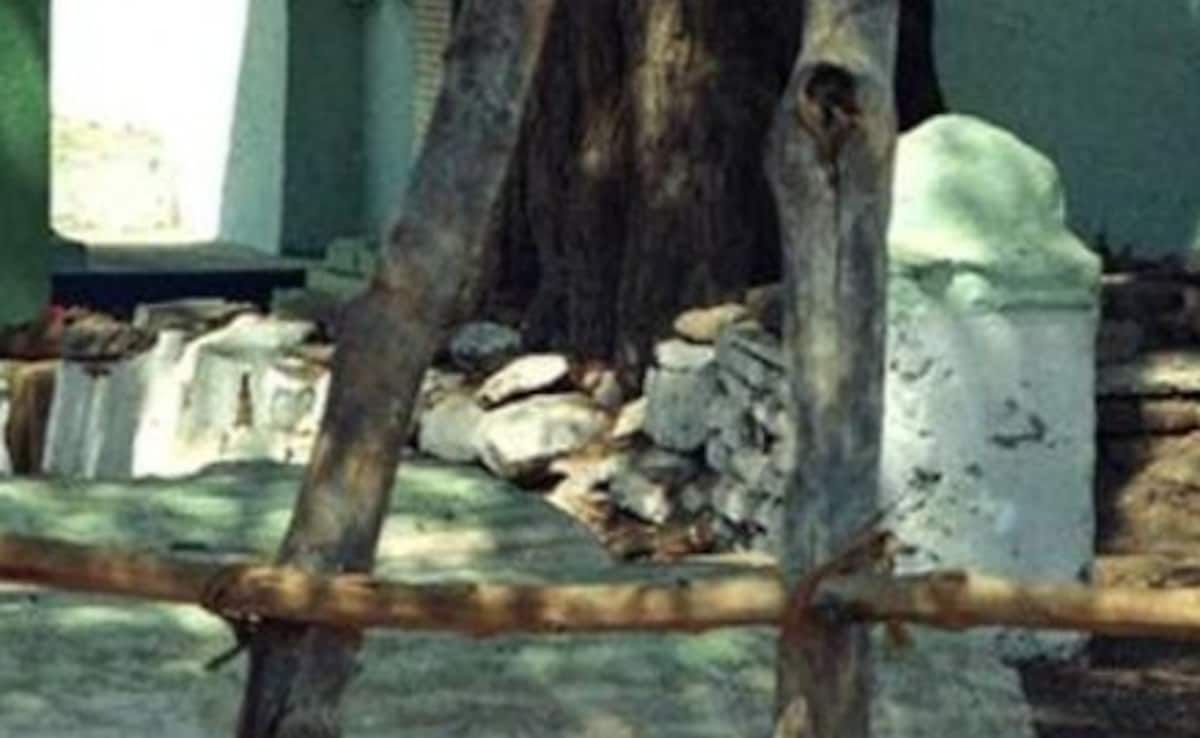 Story image