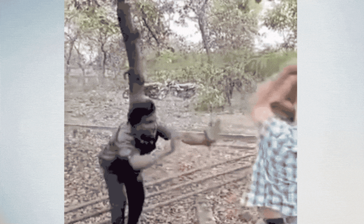 Video: ‘पैर पड़ रहा हूं, मत मारो’… भीड़ उकसाती रही- ‘सिर छोड़, बाकी सब तोड़ दो’, MP में आदिवासी के साथ बर्बरता
