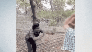 Video: &lsquo;पैर पड़ रहा हूं, मत मारो'&hellip; भीड़ उकसाती रही- &lsquo;सिर छोड़, बाकी सब तोड़ दो', MP में आदिवासी के साथ बर्बरता