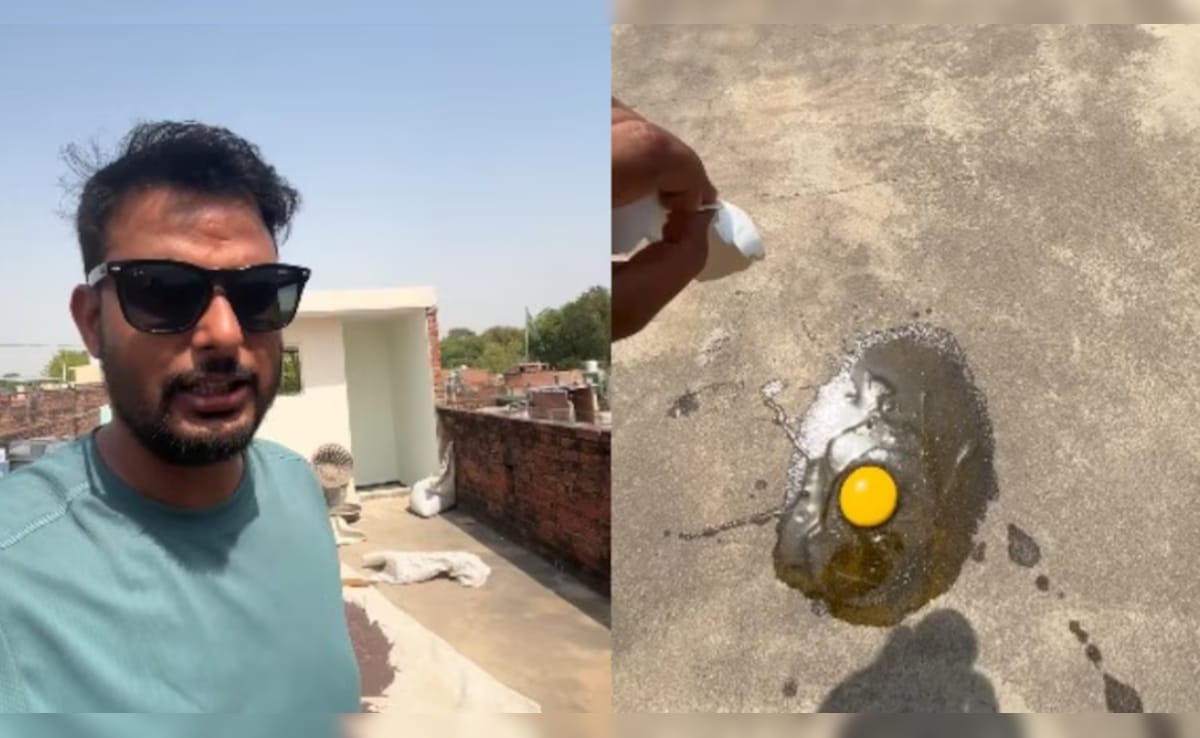 Heatwave का ऐसा 'खौफनाक' रूप! छत पर चिलचिलाती धूप में सरसों का तेल डालकर...बंदे ने पका दिया अंडा