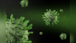 'Hantavirus In 2026': Tweet Posted In 2022 Goes Viral Amid Global Health Scare