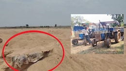 धमतरी में रेत माफियाओं ने खोद डाला श्मशान घाट, 10 कंकाल निकलने के बाद 5 टैक्टर जब्त
