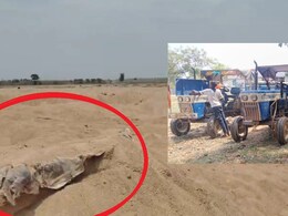 धमतरी में रेत माफियाओं ने खोद डाला श्मशान घाट, 10 कंकाल निकलने के बाद 5 टैक्टर जब्त