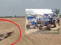 धमतरी में रेत माफियाओं ने खोद डाला श्मशान घाट, 10 कंकाल निकलने के बाद 5 टैक्टर जब्त