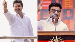 MK Stalin Targets Vijay Over UK Visit, Power Cuts, Law And Order