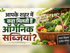 बिना केमिकल वाली फ्रेश सब्जियां खरीदना हैं? जानें आपके शहर में कहां लगती है Organic सब्जियों की खास मंडिया