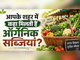 बिना केमिकल वाली फ्रेश सब्जियां खरीदना हैं? जानें आपके शहर में कहां लगती है Organic सब्जियों की खास मंडिया