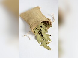 तेजपत्ता के ये फायदे शायद ही जानते होंगे आप, शरीर को मिलते हैं गजब के लाभ