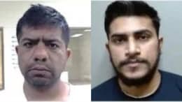 ICE Arrests Two Indians For Attempted Lewd Act On Child, $60,000 Theft Case
