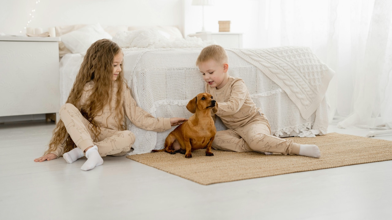 Top 10 Carpet Placement Mistakes That Make Living Rooms Look Cluttered Top 10 Carpet Placement Mistakes That Make Living Rooms Look Cluttered